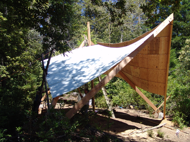 One Wing in Position