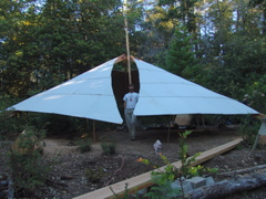 Kirk and Devine Opening