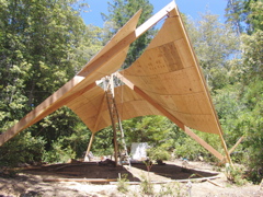 Nearing Complete Blossoming