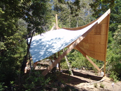 One Wing in Position